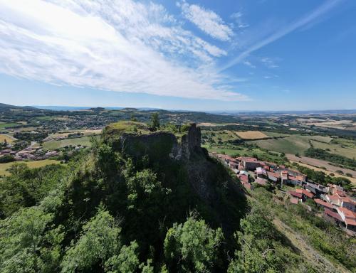 Château de Buron [28-06-2022](0976).jpg